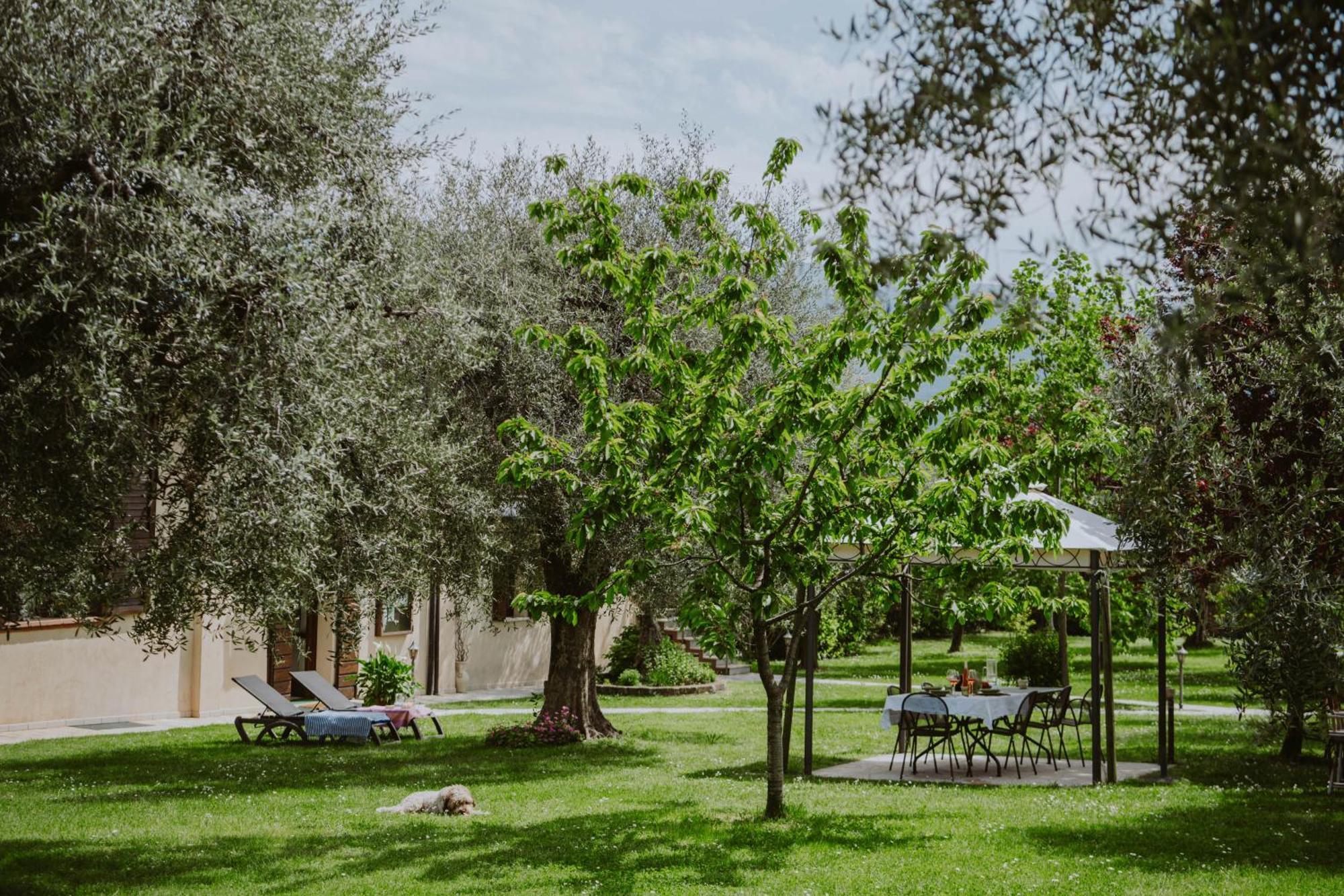 Ferienwohnung Campolivo Gargnano Exterior foto